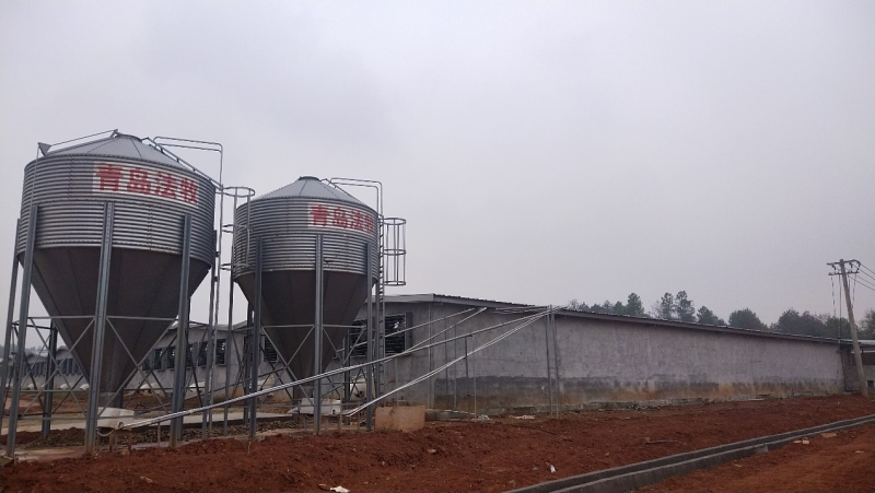 60塞盤料線.png 60塞盤料線.png